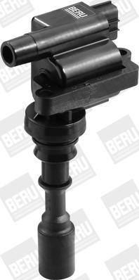 BorgWarner (BERU) ZSE087 - Ignition Coil www.parts5.com