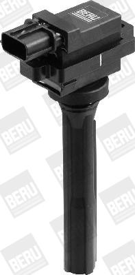 BorgWarner (BERU) ZSE072 - Ignition Coil www.parts5.com