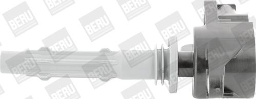 BorgWarner (BERU) ZSE140 - Ignition Coil www.parts5.com