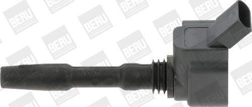 BorgWarner (BERU) ZSE137 - Запалителна бобина www.parts5.com