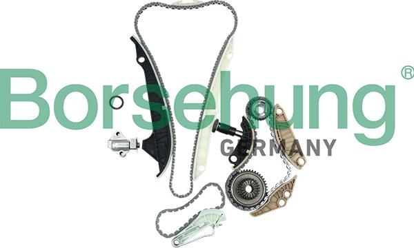 Borsehung B19209 - Timing Chain Kit parts5.com