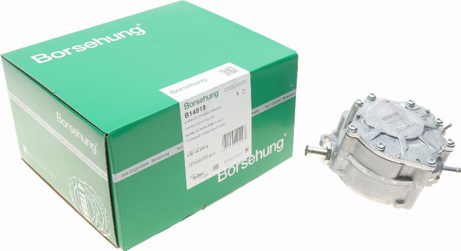 Borsehung B14919 - Αντλία υποπίεσης, σύστημα πέδησης www.parts5.com