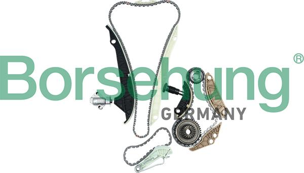 Borsehung B16298 - Timing Chain Kit parts5.com