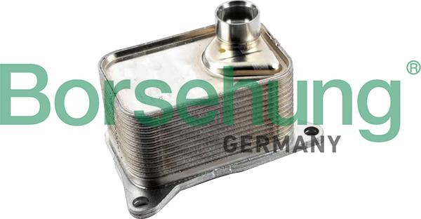 Borsehung B10877 - Õliradiaator,mootoriõli www.parts5.com