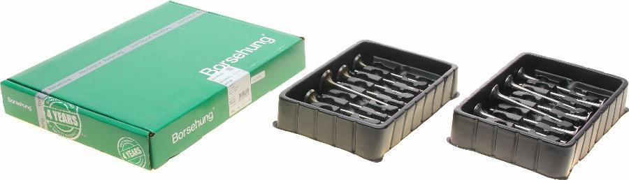 Borsehung B10322 - Einlassventil www.parts5.com