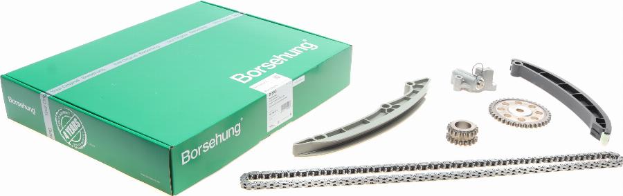 Borsehung B18960 - Juego de cadena de distribución www.parts5.com