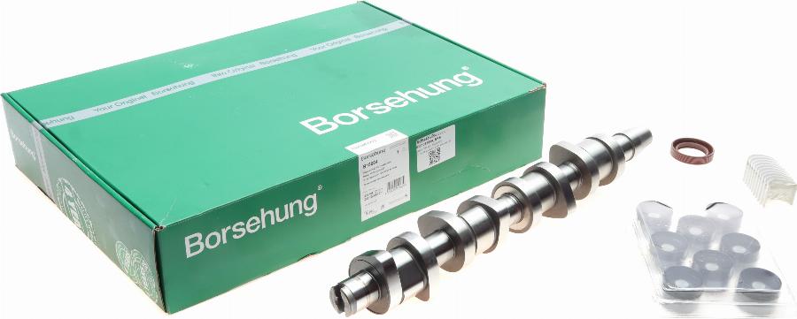 Borsehung B18664 - Zestaw wału rozrządu www.parts5.com