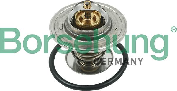 Borsehung B13141 - Termostat,lichid racire www.parts5.com