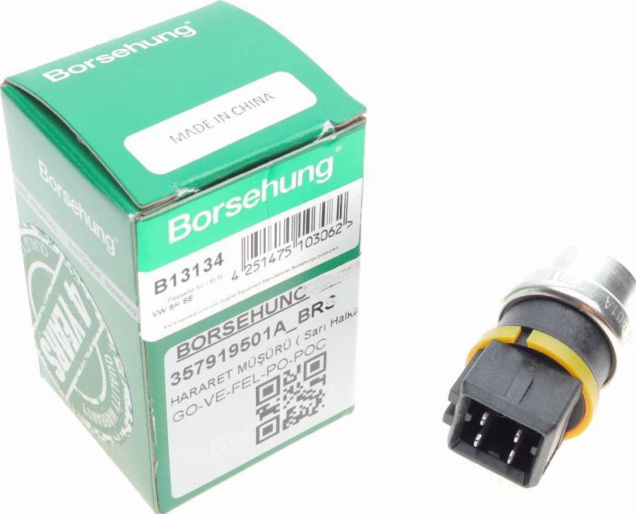 Borsehung B13134 - Датчик, температура охлаждающей жидкости www.parts5.com