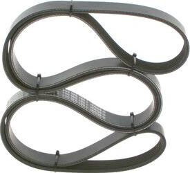 BOSCH 1 987 946 064 - V-Ribbed Belt www.parts5.com