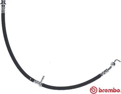 Brembo T 59 084 - Brake Hose www.parts5.com