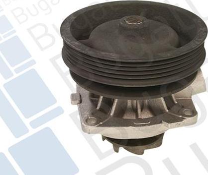 BUGATTI PA5912 - Water Pump www.parts5.com