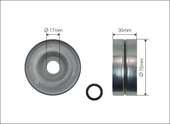 Caffaro 496-99 - Deflection / Guide Pulley, v-ribbed belt www.parts5.com