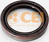 C.E.I. 139.864 - Shaft Seal, manual transmission parts5.com