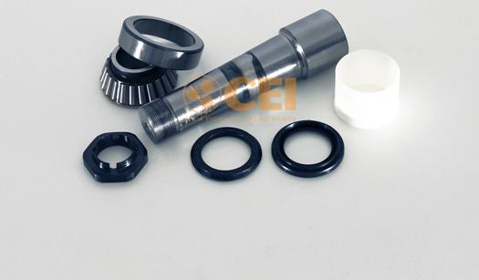 C.E.I. 230.077 - Set reparatie, pivot www.parts5.com