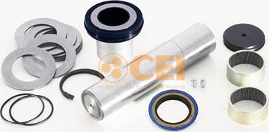 C.E.I. 230.164 - Set reparatie, pivot www.parts5.com