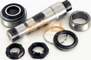 C.E.I. 230.170 - Set reparatie, pivot www.parts5.com