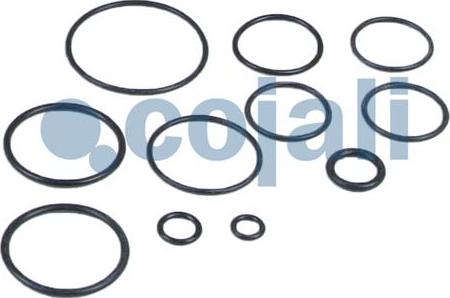 Cojali 6032117 - Repair Kit, clutch booster www.parts5.com