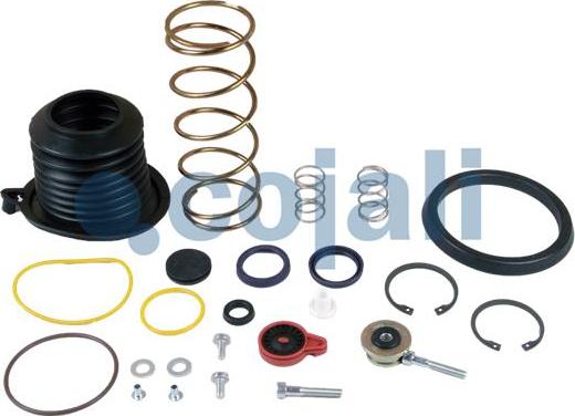 Cojali 6032117 - Repair Kit, clutch booster www.parts5.com