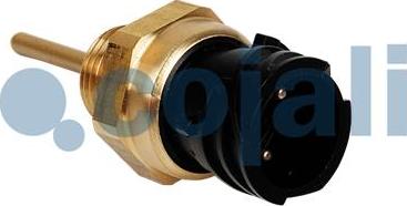 Cojali 2260982 - Sensor, coolant temperature www.parts5.com