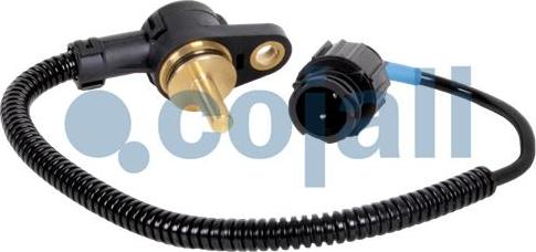 Cojali 2260658 - Senzor www.parts5.com