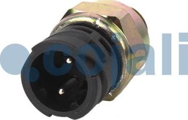 Cojali 2260336 - Interruptor, bloqueo de diferencial www.parts5.com