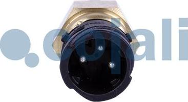 Cojali 2260754 - Sensor www.parts5.com