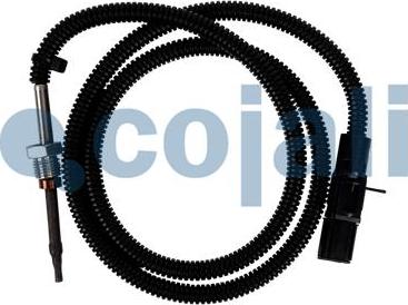 Cojali 2260781 - Sensor, exhaust gas temperature www.parts5.com