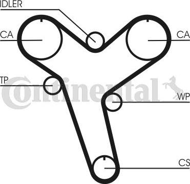 Continental CTAM CT 894 - Zupčasti remen www.parts5.com