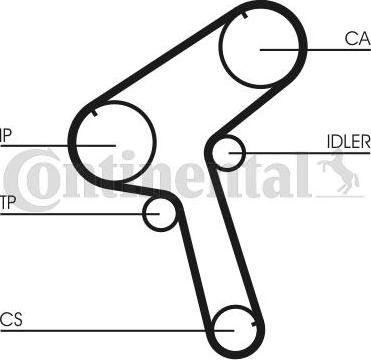 Continental CTAM CT843 - Timing Belt parts5.com