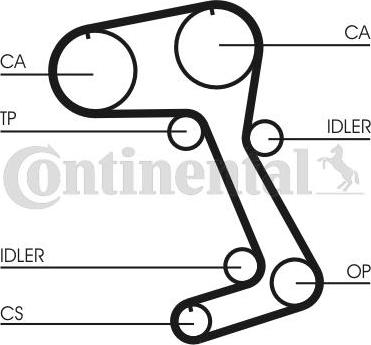 Continental CTAM CT831 - Timing Belt www.parts5.com