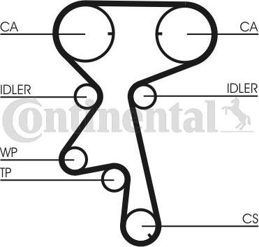 Continental CTAM CT873WP4 - Set pompa apa + curea dintata www.parts5.com