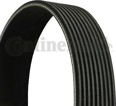 Continental CTAM 9 PK 2295 - V-Ribbed Belt www.parts5.com