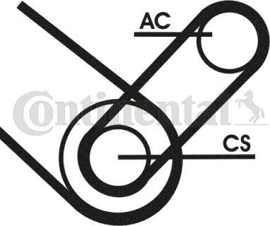 Continental CTAM 4PK874ELASTT1 - V-Ribbed Belt Set www.parts5.com