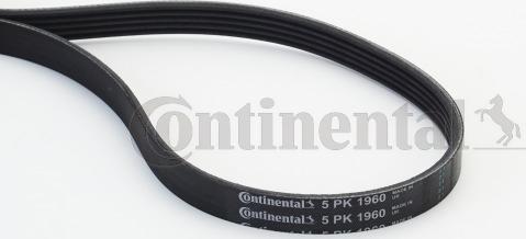 Continental CTAM 5 PK 1960 - Klinasti rebrasti kaiš www.parts5.com