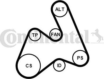 Continental CTAM 5PK1592K1 - Zestaw paska klinowego wielorowkowego www.parts5.com