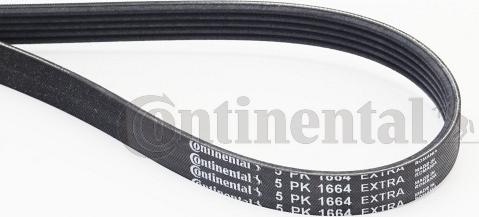 Continental CTAM 5PK1664 EXTRA - V-Ribbed Belt parts5.com