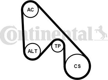 Continental CTAM 5PK1145K1 - Set curea transmisie cu caneluri www.parts5.com