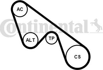 Continental CTAM 5 PK 1150 K1 - Juego de correas trapeciales poli V www.parts5.com