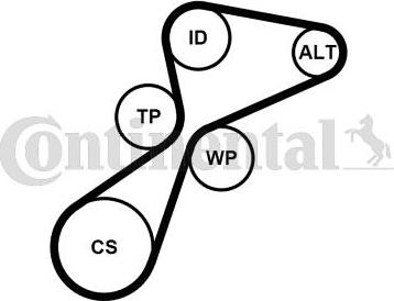 Continental CTAM 5PK1105K1 - Keilrippenriemensatz www.parts5.com