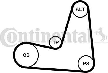 Continental CTAM 5PK1135K1 - Soonrihmakomplekt www.parts5.com