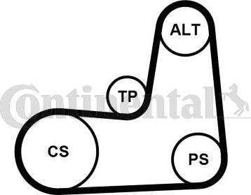 Continental CTAM 5 PK 1135 K2 - Garnitura klinastog rebrastog kaiša www.parts5.com