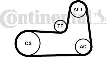 Continental CTAM 5PK1125K1 - V-Ribbed Belt Set www.parts5.com