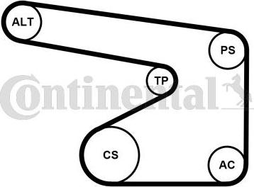 Continental CTAM 5PK1355WP2 - Water Pump + V-Ribbed Belt Set www.parts5.com