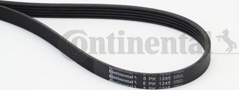 Continental CTAM 5 PK 1245 - Пистов ремък www.parts5.com