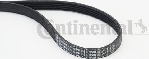 Continental CTAM 5 PK 868 ELAST - V-Ribbed Belt www.parts5.com