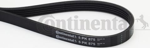 Continental CTAM 5PK875 - Klinasti rebrasti kaiš www.parts5.com