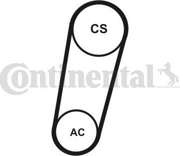 Continental CTAM 5PK705ELASTT1 - Garnitura klinastog rebrastog kaiša www.parts5.com