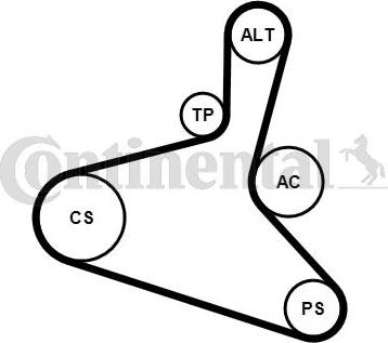 Continental CTAM 6DPK1195K2 - Juego de correas trapeciales poli V www.parts5.com