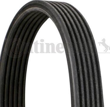 Continental CTAM 6 DPK 1825 - V-Ribbed Belt www.parts5.com